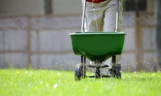 钾肥几天见效 快来看看吧