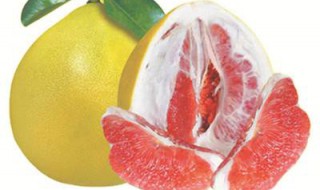 红心柚怎么挑 你需要掌握的生活常识