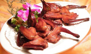 鸽子肉嘌呤含量 现在就告诉大家