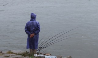 鱼咬石头使用方法 硫代甜菜碱诱鱼剂如何使用