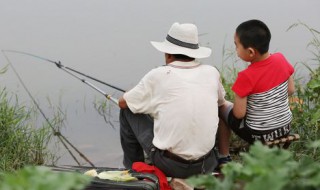 爷爷夸孙子宝贝的句子 你学会了吗