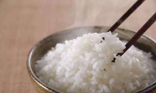 米饭蒸多久 米饭蒸多久可以吃