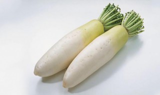 萝卜的禁忌人群 你有了解过吗