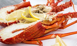 活大龙虾怎么保存 怎么存放龙虾