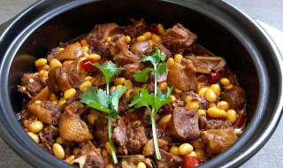 鸭肉煲的制作方法 砂锅鸭肉煲的制作方法