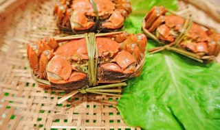 捆绑大闸蟹清洗方法 清洗捆绑大闸蟹的步骤