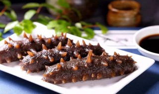 干海参发泡方法 干海参泡发方法简述