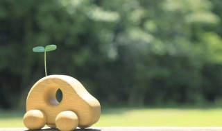 什么独秀成语 这个成语你学过吗