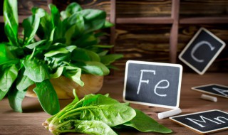 菠菜收割技巧 菠菜收割有哪些技巧