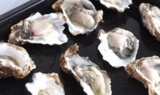清洗海蛎最好方法 清洗海蛎方法步骤