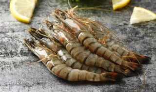 桂虾的养殖方法 桂虾的简介