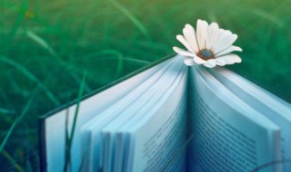 运动加油励志的句子 给运动员加油的励志句子