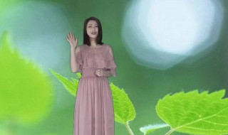 伤心依旧你的兰花指什么 兰花指歌词欣赏