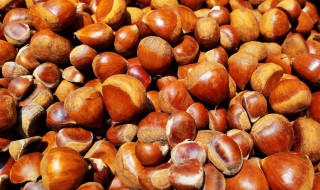 储藏板栗方法 板栗的功效与作用