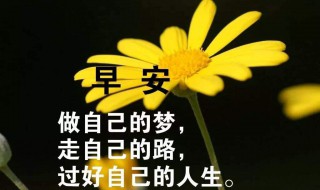 早安励志女人的句子 早安励志女人的句子有哪些