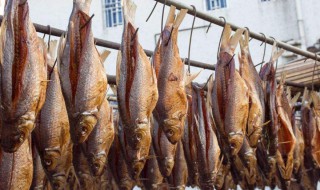 凤城鲮鱼干制作方法 鲮鱼干制作方法介绍