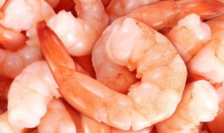 秘制虾仁的方法 怎么做虾仁好吃