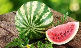梦到西瓜是什么意思 不同的人寓意也不同
