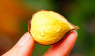 收板栗的最佳方法 怎么收板栗比较好