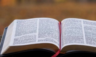 到底造句 到底怎么造句