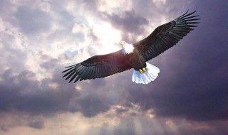 霸气响亮班名 这些班名太好听了