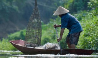 欲穷其林的欲是什么意思 欲穷其林原句及翻译