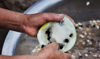 打瓜籽晾晒方法 瓜子有什么功效与作用