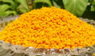 荷花粉的功效与作用及食用方法 荷花粉的功效与作用及食用方法介绍