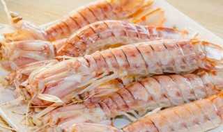 新鲜皮皮虾怎么保存 新鲜皮皮虾保存的方法