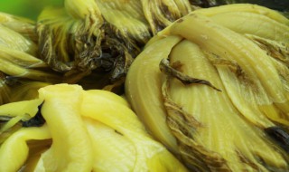 酸菜营养 酸菜的简介