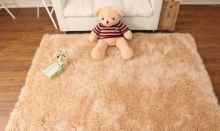 地毯防螨虫的方法 怎么让地毯防螨虫