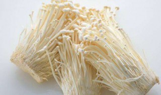 买的金针菇怎么保存 金针菇保存方法介绍