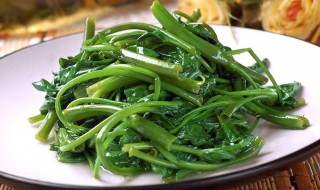 空心菜怎么保存 如何保存空心菜