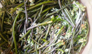 蕨菜怎么长时间保存 蕨菜保存方法介绍