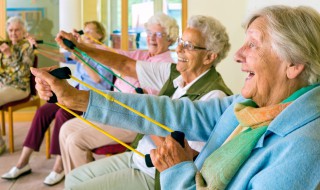 三人不抱树的意思是什么 三人不抱树又称三人不抬树