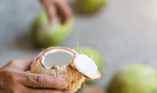 劈开椰子的小窍门 这样开椰子汁也不会浪费