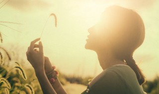 摄影十大必备技巧 摄影十大必备技巧有哪些