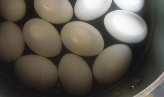 鸽子蛋怎么煮 怎么煮鸽子蛋