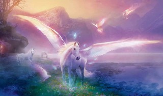 独角兽什么意思 独角兽介绍