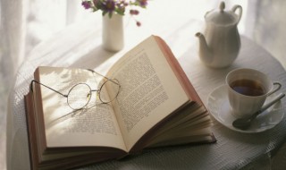 王安石纵被春风吹作雪咏的是哪一种花 纵被春风吹作雪出自哪里