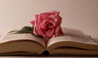 关于书法的优美句子 书法优美句子集锦