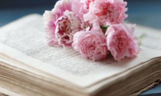 分享小故事及感悟 早会分享小故事4则及感悟