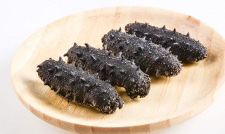 发泡海参的简单方法 发海参最简便的方法