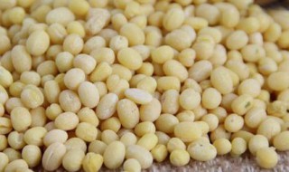 生绿豆去皮最快方法 生绿豆去皮最快方法是什么