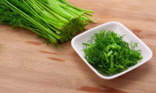 小茴香种植方法和时间 小茴香如何种植