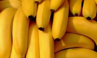 香蕉种植方法 香蕉如何种植