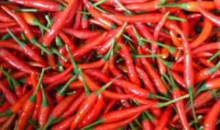 鲜辣椒保存方法 鲜辣椒的保存方法介绍