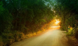 趁阳光正好幸福的句子 趁阳光正好唯美的句子