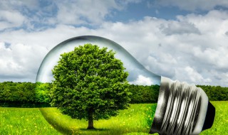 环保小知识简短 十个环保节约小常识分享