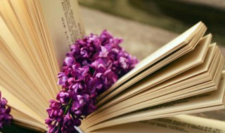 给宝宝的寄语唯美句子 写给宝宝的唯美的句子